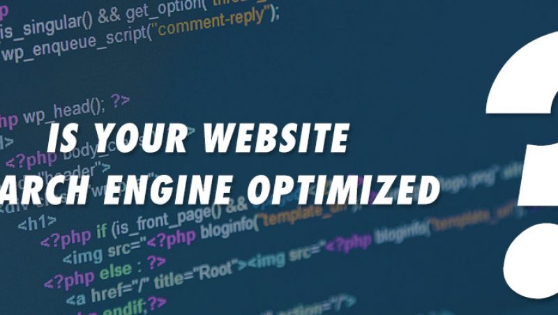SEO web development #YEG